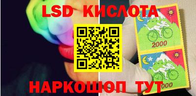 PSILOCYBIN Бугуруслан