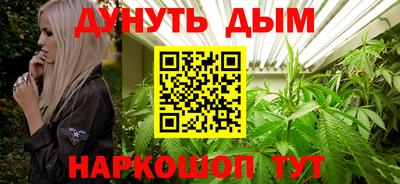 шишки Будённовск