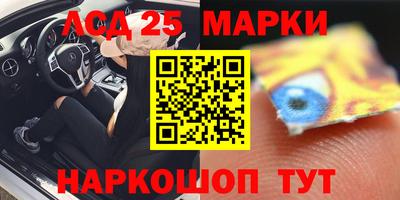 шишки Будённовск