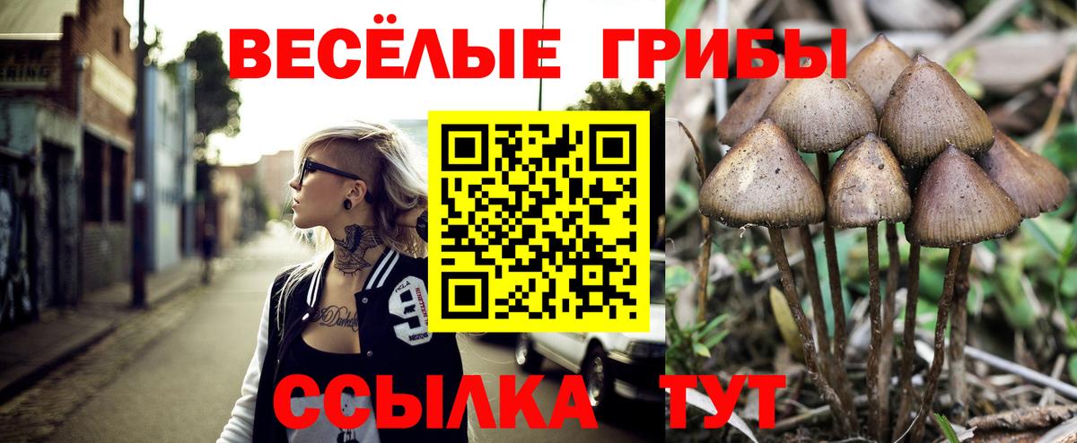 Полевской  Псилоцибиновые грибы ЛСД  Вход с VPN 