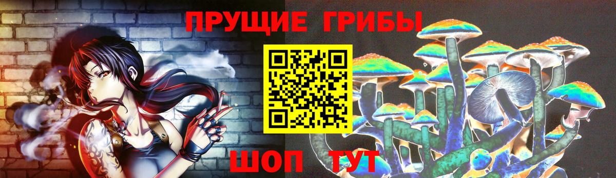 Псилоцибиновые грибы прущие грибы Полевской